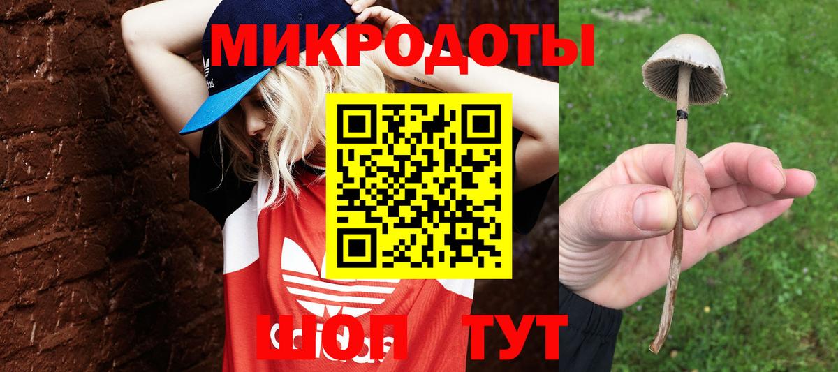 Псилоцибиновые грибы мухоморы  Галлюциногенные грибы Psilocybe  Вход с VPN  Новосибирск 